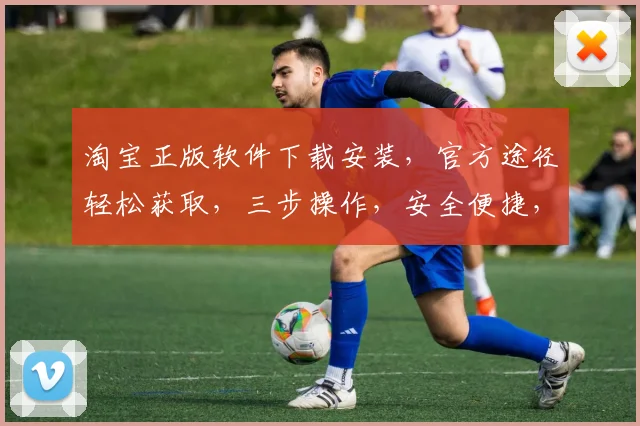 淘宝正版软件下载安装，官方途径轻松获取，三步操作，安全便捷，快速上手，体验无忧。
