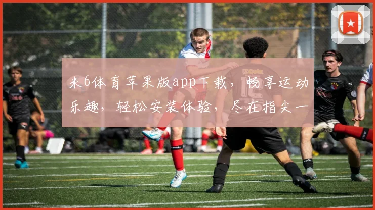 米6体育苹果版app下载，畅享运动乐趣，轻松安装体验，尽在指尖一触，快来下载吧